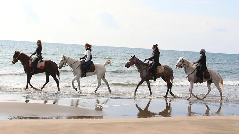 Patara Horse Riding